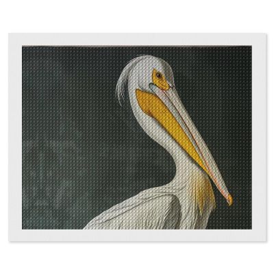 American White Pelican Diamond Painting Adults Round Diamonds Pictures Crafts Kits for Home Wall Decoration 16"x20"