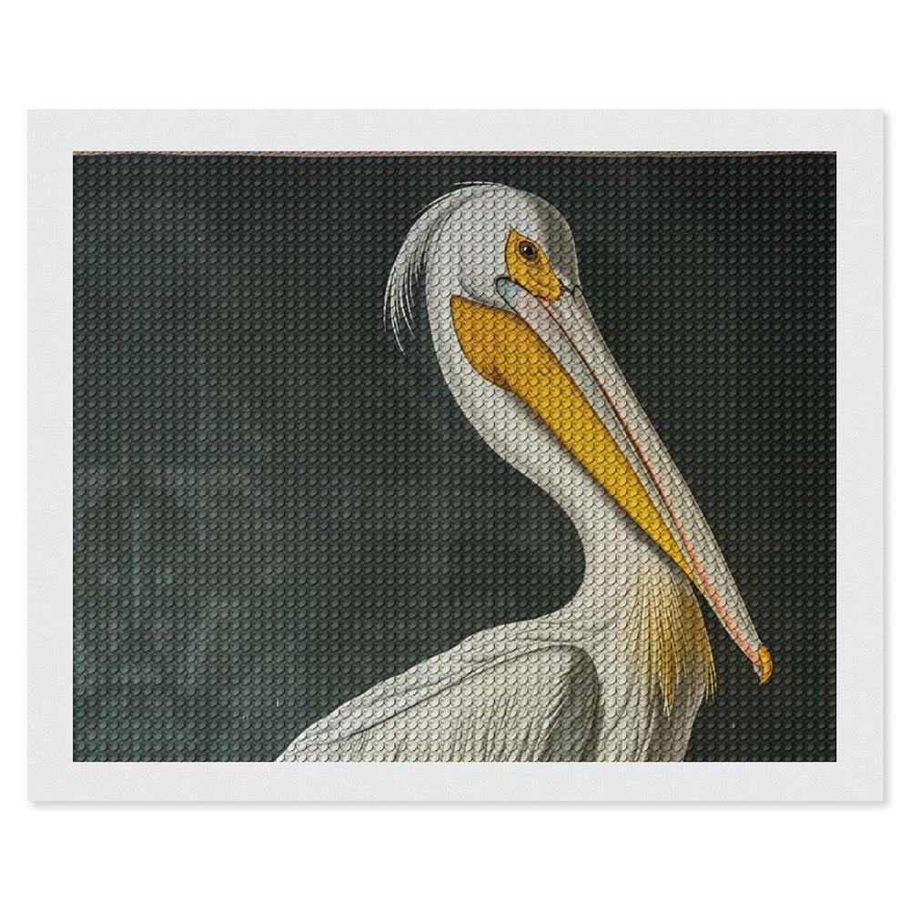 American White Pelican Diamond Painting Adults Round Diamonds Pictures Crafts Kits for Home Wall Decoration 16"x20"