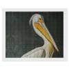 American White Pelican Diamond Painting Adults Round Diamonds Pictures Crafts Kits for Home Wall Decoration 16"x20" view 1