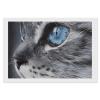 Black and White Cat Diamond Painting Adults Round Diamonds Pictures Crafts Kits for Home Wall Decoration 8"x12" view 1