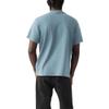 Levi's Men's Graphic Tees (Also Available in Big & Tall), (New) Prickly Arctic Blue view 2