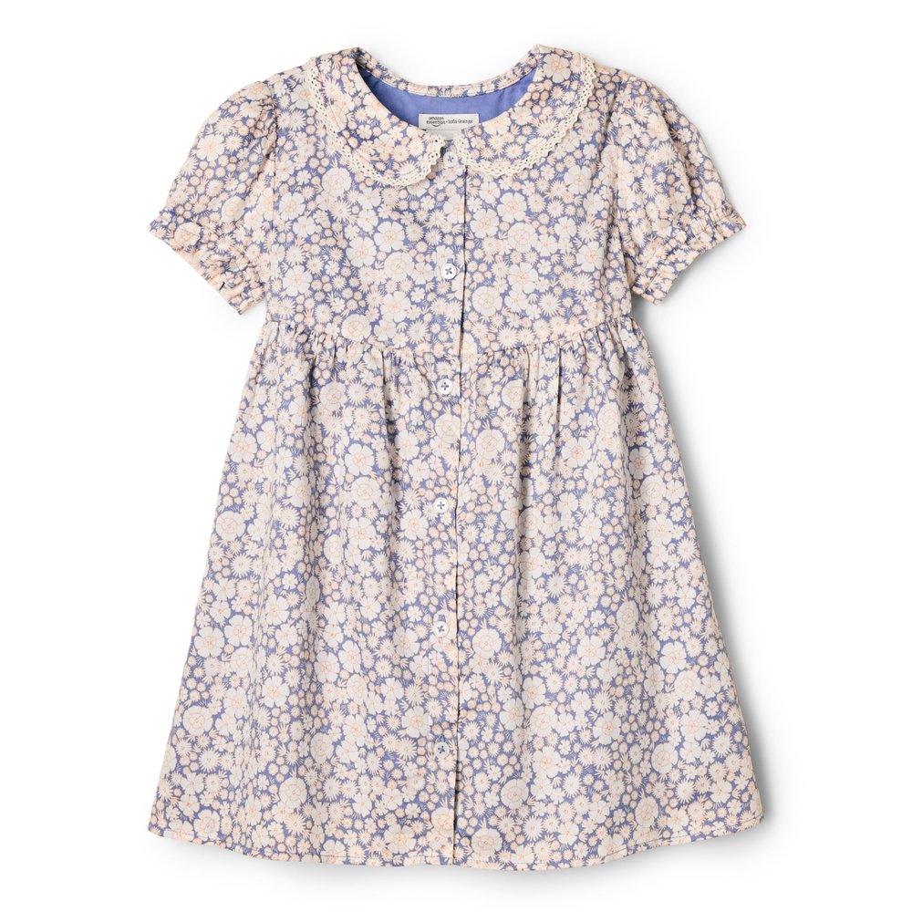 Amazon Essentials x Sofia Grainge Baby Girls' Cotton Sateen Dress with Collar, Blue Ivory Delicate Floral, Newborn