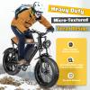 Balinge E-Bike 20x4.0 Fat Tire 20 x 4 Fat Tire with Tubes 2 Pack Heavy Duty High-Performance Wear-Resistant Mountain Snow Bike Tire, E-Bike Tires 20x4, 20x4 Tire, Black view 2
