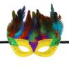 haozaikeji Women Feather Shawl with Mask, Gothic Feather Neck Collar Feather Cape Shawl for Halloween Carnival Dance Costume view 2