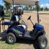 Draft Tribal Checkered Flag Golf Cart Graphic Decal Set FIT All Year and Model EZGO Club Car & Yamaha (Green) view 2