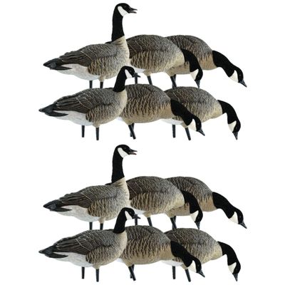 Avian X Lessers 6 Piece Fusion Realistic Design Goose Durable Decoy Set for Outdoor Hunting Sports and Recreation, 2 Pack, Multicolor