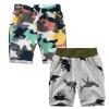 Toddler Baby Boys Soccer Shorts Cotton Casual Dinosaur Camouflage Short Boys Athletic Shorts (Camouflage, 1-2 Years) view 1