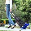 SHEKAKO Car Seat Travel Carts, Foldable Luggage Cart with Wheels, Small Folding Hand Truck Dolly, Collapsible Cart Rolling Portable Dolly for Airport Travel Moving Use (Blue) view 2
