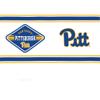 Tervis Pittsburgh Panthers - First String Made in USA Double Walled Insulated Tumbler Travel Cup Keeps Drinks Cold & Hot, 10oz, Classic view 2