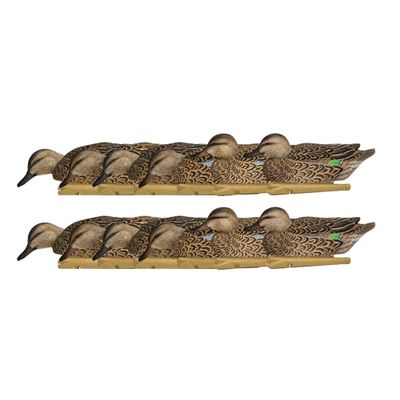 Avian X Topflight Early Season Teal with True to Life Postures and Rugged Design for Hunting Purposes, Outdoor Sports, and Recreation, 12 Pack