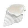 BOHK Shell Trinket Dish Ceramic Conch Ring Holder Jewelry Tray Decorative Jewelry Plate Cute Jewelry Organizer for Home Decor(Big Conch White) view 2