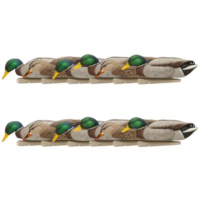 Avian X Topflight Backwater Mallards Duck Decoys Pack, Ultra Realistic Floating Mallard Hunting Decoy, 3 Feeding Postures, Multicolor, 12 Pack