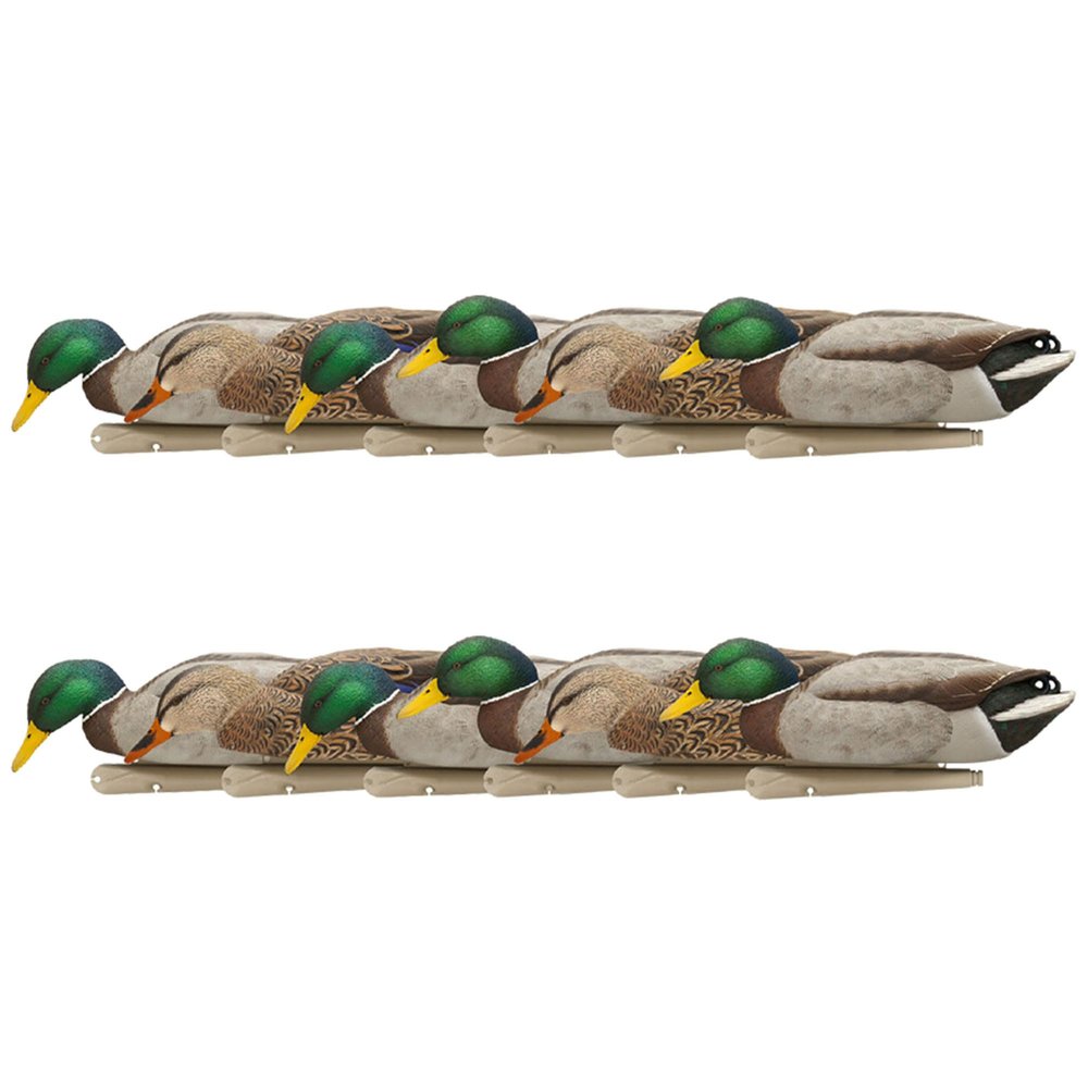 Avian X Topflight Backwater Mallards Duck Decoys Pack, Ultra Realistic Floating Mallard Hunting Decoy, 3 Feeding Postures, Multicolor, 12 Pack