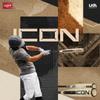 Rawlings | 2025 | ICON Baseball Bat | USA | 2 5/8' Barrel | 28 inch | -10 view 2