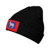19th Century Faroese Flag Beanie Hat for Men Women Winter Warm Knit Hats Ski Hat Skull Cap Black view 1