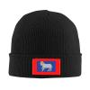 19th Century Faroese Flag Beanie Hat for Men Women Winter Warm Knit Hats Ski Hat Skull Cap Black view 2