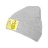 Delicious Pineapple Beanie Hat for Men Women Winter Warm Knit Hats Ski Hat Skull Cap Gray