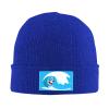 MULIHU Cute Panda Surfing Beanie Hat for Men Women Winter Warm Knit Hats Ski Hat Skull Cap Blue view 2