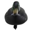 8X PE Lifelike 14" Hunting Male/Drake Duck Decoy, G view 4