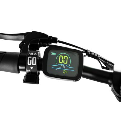 Electric Bike LCD Display for F1