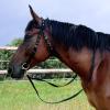 AQINGR Horse Bridle Bridle Rein Harness Adjustable Horse Bridle Headstall Equestrian Reins Black S view 3