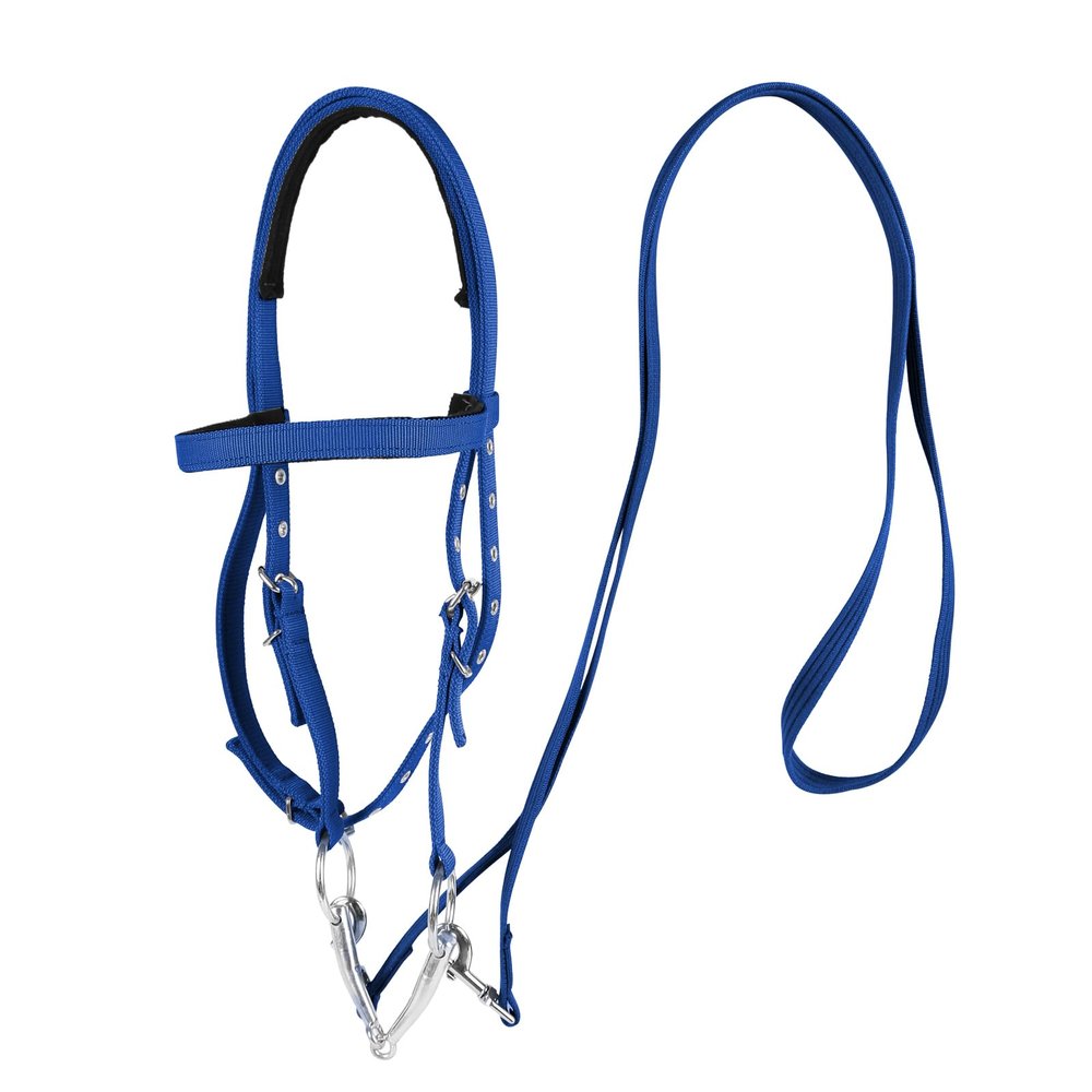 AQINGR Horse Bridle Bridle Rein Harness Adjustable Horse Bridle Headstall Equestrian Reins Blue L