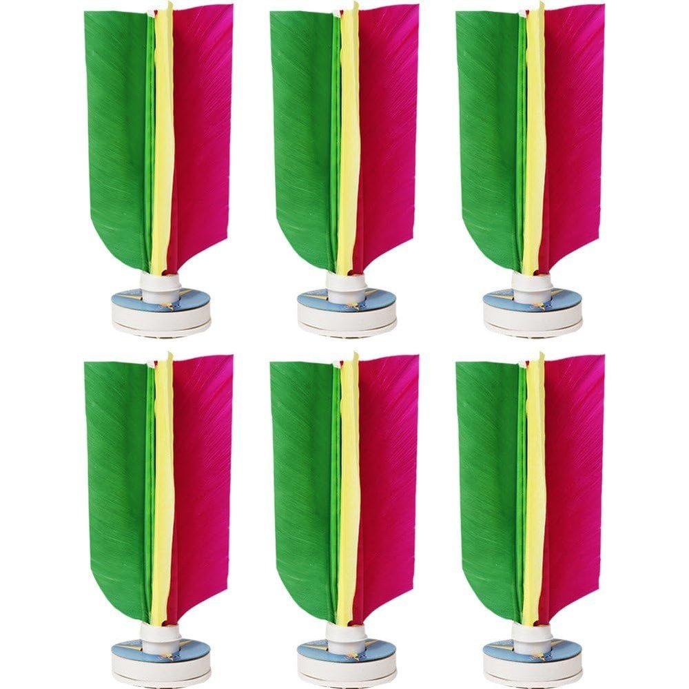 Haiyou Chinese Feather Shuttlecock 6pcs Kick Shuttlecock Chinese Traditional Jianzi Feather Football for Foot Exercise Sports Game