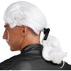 FEESHOW Men Judge Colonial Wig Washington Lawyer Wig Halloween Cosplay Wigs with Braid Adjustable Curly Wigs White One Size view 3