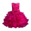 Baby Girls Lace Embroidery Fancy Dress Baby Girl Sundress Kids Girl Lace Pageant Party Wedding Flower Girl Dress view 1