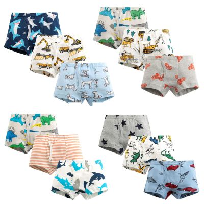 Boys Kids Toddler Organic Cotton Underwear Cartoon Dinosaur Pattern Boer Briefs Pack of 3 Underwear (B, 3-4 Years)
