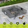 Meldoz Squirrelinator Metal Wire & Heavy Duty, 2 Door Humane Live Squirrel Catch & Release Cage Trap, Holds up to 25 Squirrels, 2 Traps view 3