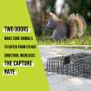 Meldoz Squirrelinator Metal Wire & Heavy Duty, 2 Door Humane Live Squirrel Catch & Release Cage Trap, Holds up to 25 Squirrels, 2 Traps view 4