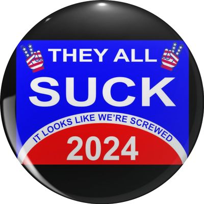 2024 They All Suck, Politicians Pin Lapel Pin Cute Brooch Pins Badges 0.75"