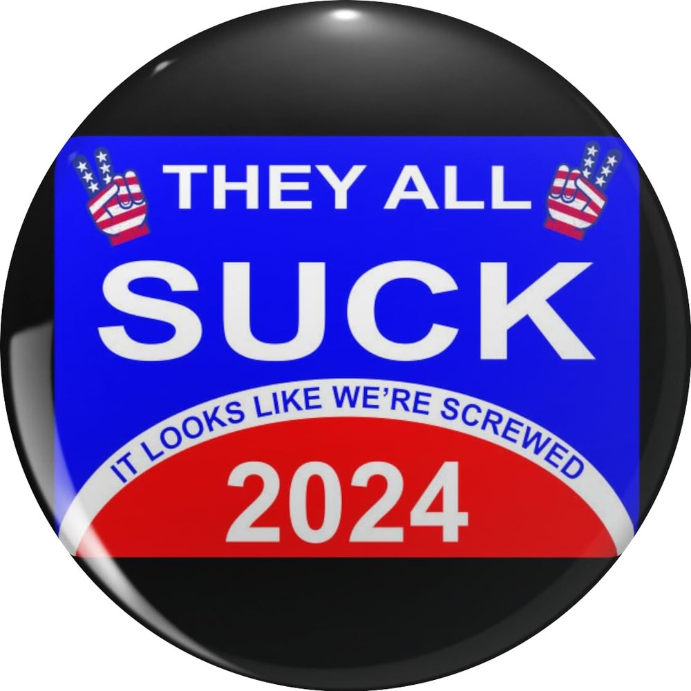 2024 They All Suck, Politicians Pin Lapel Pin Cute Brooch Pins Badges 0.75"