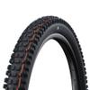 SCHWALBE Albert Tire - 29 x 2.50, Tubeless, Folding, Black, Evolution Line, Gravity Pro, Addix Soft, Radial, E-50 view 1