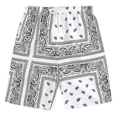 Boys' Shorts,Boys Ee Bandana Shorts Teen Boy Streetwear Clothes,Men's Boho Tribal Paisley Print Drawstring Waist Summer Beach Hawaiian Cool Graphic Short Men B6 White 3XL