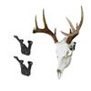 Prized Possessions Sturdy European Mount Skull Hanger. Low Profile. USA Based Company. Secure Your Euro Mount with Peace of Mind! Show Off Your Deer Skull Mount! (Modular Hook, 2, Count) view 1