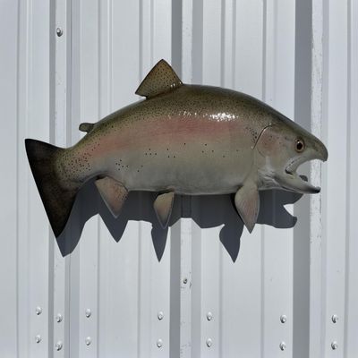 25" Rainbow Trout Two Sided Fish Mount Replica - Affordable Cabin Decor - Indoors Or Outside