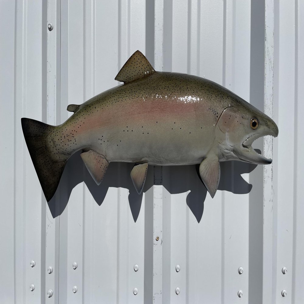 25" Rainbow Trout Two Sided Fish Mount Replica - Affordable Cabin Decor - Indoors Or Outside