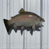 25" Rainbow Trout Two Sided Fish Mount Replica - Affordable Cabin Decor - Indoors Or Outside view 1