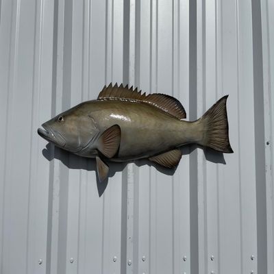32" Gag Grouper Half Sided Fish Mount Replica - Affordable Coastal Decor - Indoors Or Outside