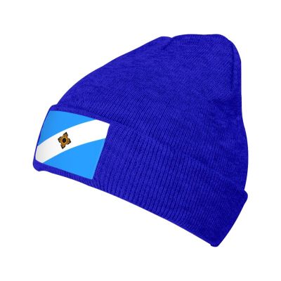 Flag of Madison Wisconsin Beanie Hat for Men Women Winter Warm Knit Hats Ski Hat Skull Cap Blue