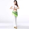 LEIXIUSM 21547025 Belt Outfit Hip Costume Belly Skirt Tassels Scarf Women Dance Sequins Bead Wrap Belt Belt Men Leather(C) view 2
