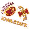 Desert Cactus Iowa State University Sticker ISU Cyclones Vinyl Decals Laptop Water Bottle Car Scrapbook T5 (Type 5-1) view 1
