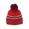 Florida Panthers NHL Officially Licensed Beanie Pom Rush view 2