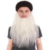 BC GOODS BY Long Synthetic Beard for Men Ideal for Cosplay and Performance, Dark Grey view 1