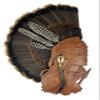 Unique "Huntress" Turkey Display for Fan, Beards, and Spurs (Cherry) view 1