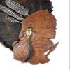 Unique "Huntress" Turkey Display for Fan, Beards, and Spurs (Cherry) view 2