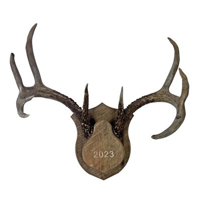 Barnwood Deer Antler/Horn Mounting Kit - Custom & Personalized Plaque/Mount - Includes EVERYTHING You Need! (Barnwood)