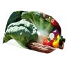 2 Pieces Scrub Caps Women Chef Cap Surgical Caps for Hospital Basket Colorful Pepper Garlic Grape